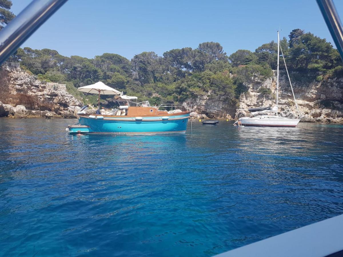 Een Parel Aan De Cote 'D Azur ! Vallauris Exterior foto